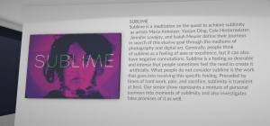 Our show was hosted on ArtSteps, a digital "art gallery" for use in browser or VR.